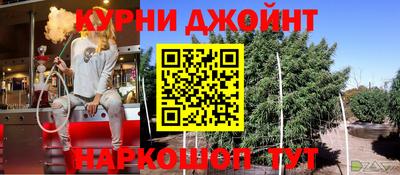 a pvp Гатчина