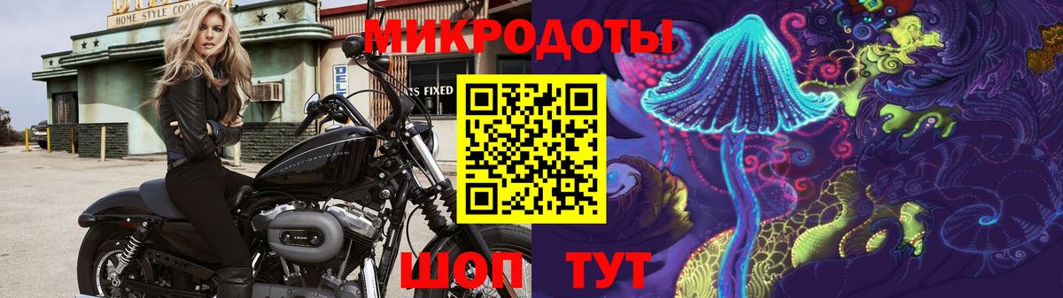 Галлюциногенные грибы GOLDEN TEACHER Бахчисарай