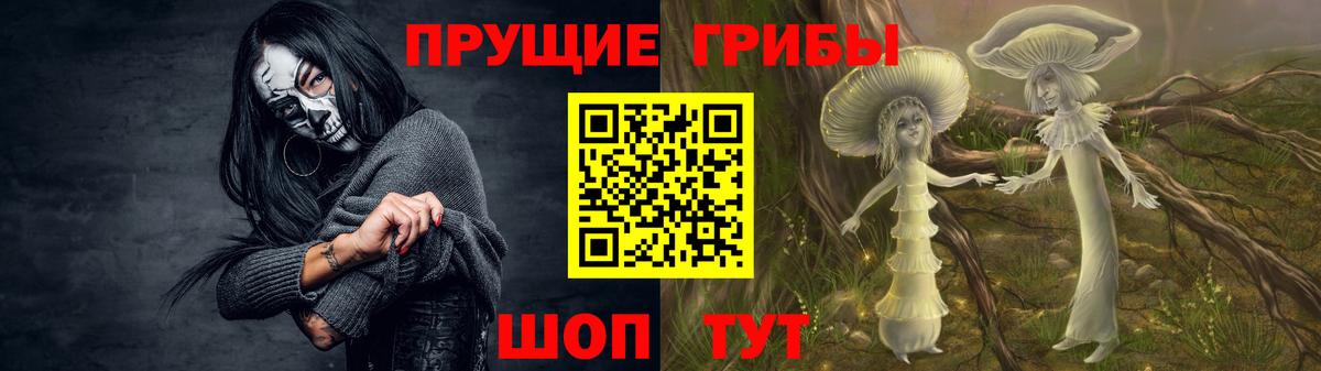 Бахчисарай  Галлюциногенные грибы ЛСД  Вход с VPN 